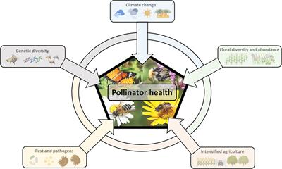 Editorial: Insect pollinators in the Anthropocene: how multiple environmental stressors are shaping pollinator health